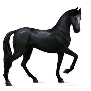 ridhäst trakehner fux