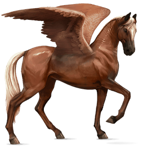 ridpegasus akhal-teke linfux 