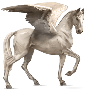 ridpegasus lusitano mörkbrun
