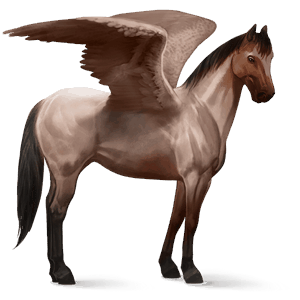 ridpegasus konstantskimmel