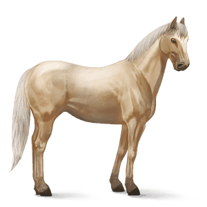 ridhäst lusitano gulbrun