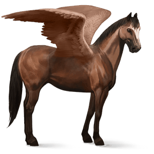 ridpegasus brun