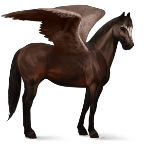 ridpegasus mörkfux