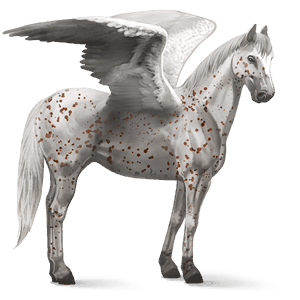 ridpegasus lusitano brun