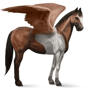 ridpegasus paint horse brun tobiano