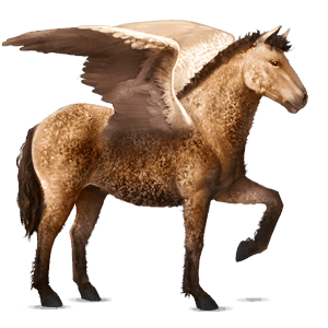 ridpegasus argentinsk criollo konstantskimmel