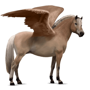 pegasus-ponny fjording brunblack