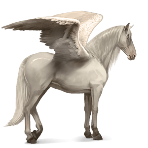 ridpegasus lusitano gulbrun