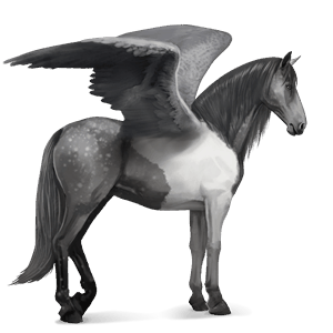 ridpegasus hannoveranare brun