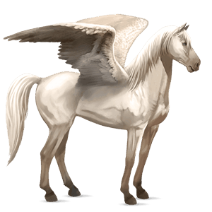 ridpegasus isabell