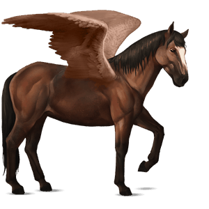 ridpegasus isabell