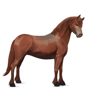 ridhäst lusitano fux