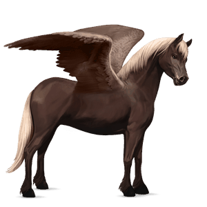 pegasus-ponny haflinger mörk linfux 