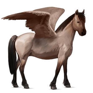 pegasus-ponny welshponny konstantskimmel