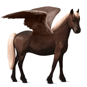 pegasus-ponny newfoundland-ponny mörk linfux 