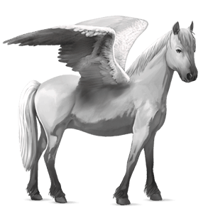 pegasus-ponny welshponny avblekbar skimmel