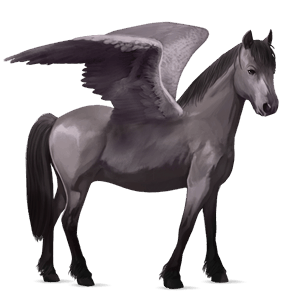 pegasus-ponny shetlandsponny linfux 