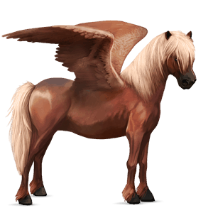 pegasus-ponny welshponny linfux 