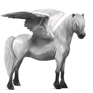 pegasus-ponny newfoundland-ponny avblekbar skimmel