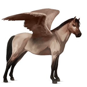 pegasus-ponny highlandponny konstantskimmel