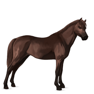 ponny mörkfux