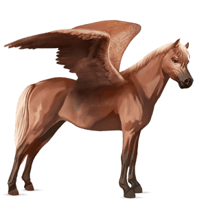 pegasus-ponny welshponny linfux 