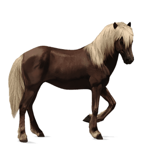 ponny haflinger linfux 