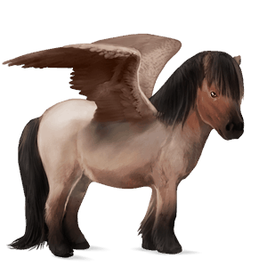 pegasus-ponny shetlandsponny konstantskimmel