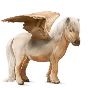 pegasus-ponny shetlandsponny isabell