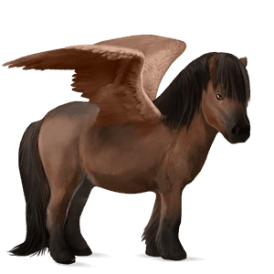 pegasus-ponny shetlandsponny brun