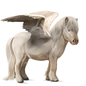 pegasus-ponny shetlandsponny fux