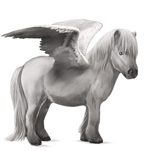 pegasus-ponny shetlandsponny avblekbar skimmel