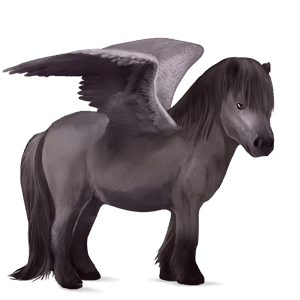 pegasus-ponny shetlandsponny fux