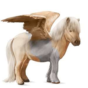 pegasus-ponny shetlandsponny brun