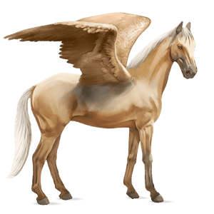 ridpegasus lusitano brun