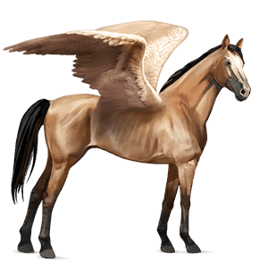 ridpegasus lusitano gulbrun