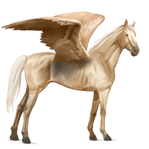 ridpegasus brun