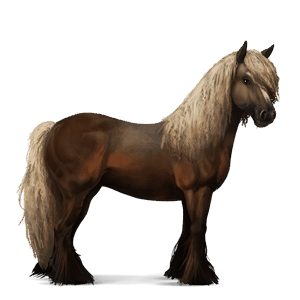 ridhäst lusitano svart