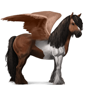 ridpegasus tinker brun tobiano