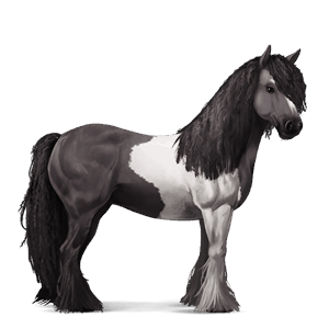 ridhäst tinker musblack tobiano