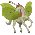 ridhäst lusitano brun