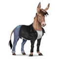 ridhäst lusitano mörkbrun
