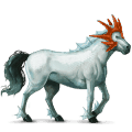 ridhäst lusitano brun
