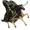 ridpegasus lusitano gulbrun