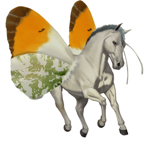 ponny haflinger linfux 